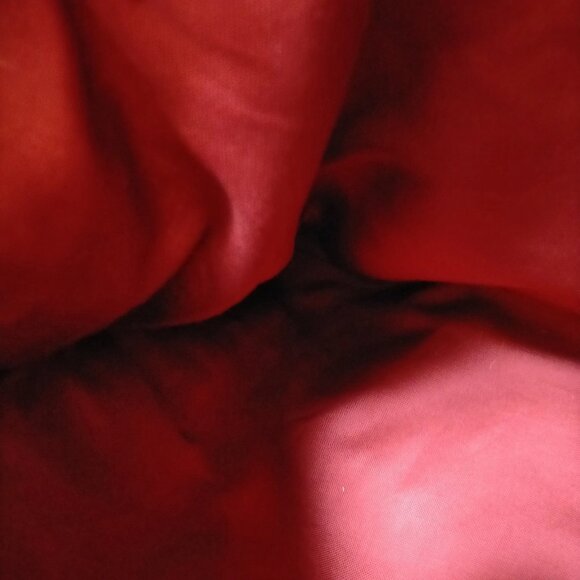 Gucci Tote Bag Red Canvas mon-875-091325 - Picture 12 of 16